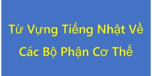 Từ Vựng Tiếng Nhật Về Các Bộ Phận Cơ Thể