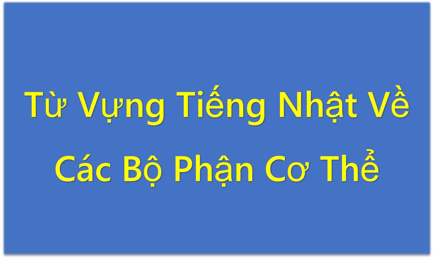Từ Vựng Tiếng Nhật Về Các Bộ Phận Cơ Thể