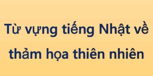 Từ vựng tiếng Nhật về thảm họa thiên nhiên